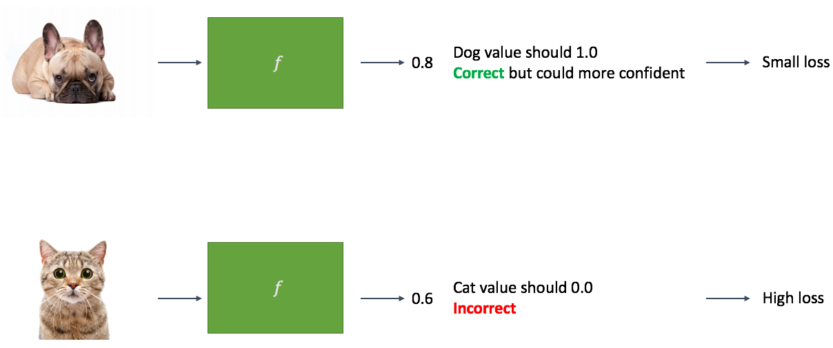 Example of the loss function